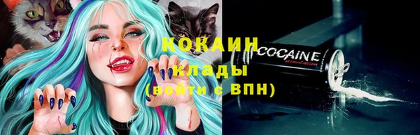 кокс Арсеньев