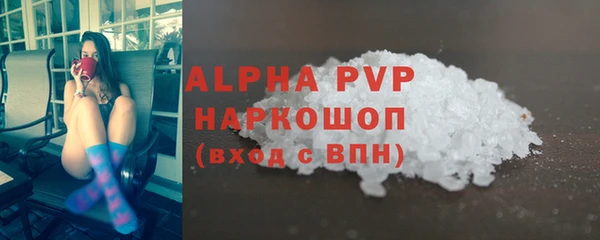 spice Аркадак