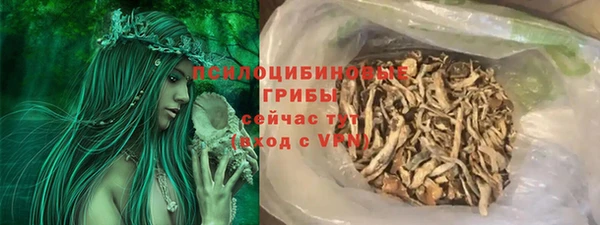 кокс Арсеньев